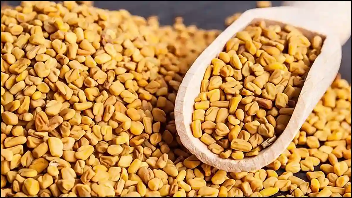 فوائد الحلبة للرجال والنساء