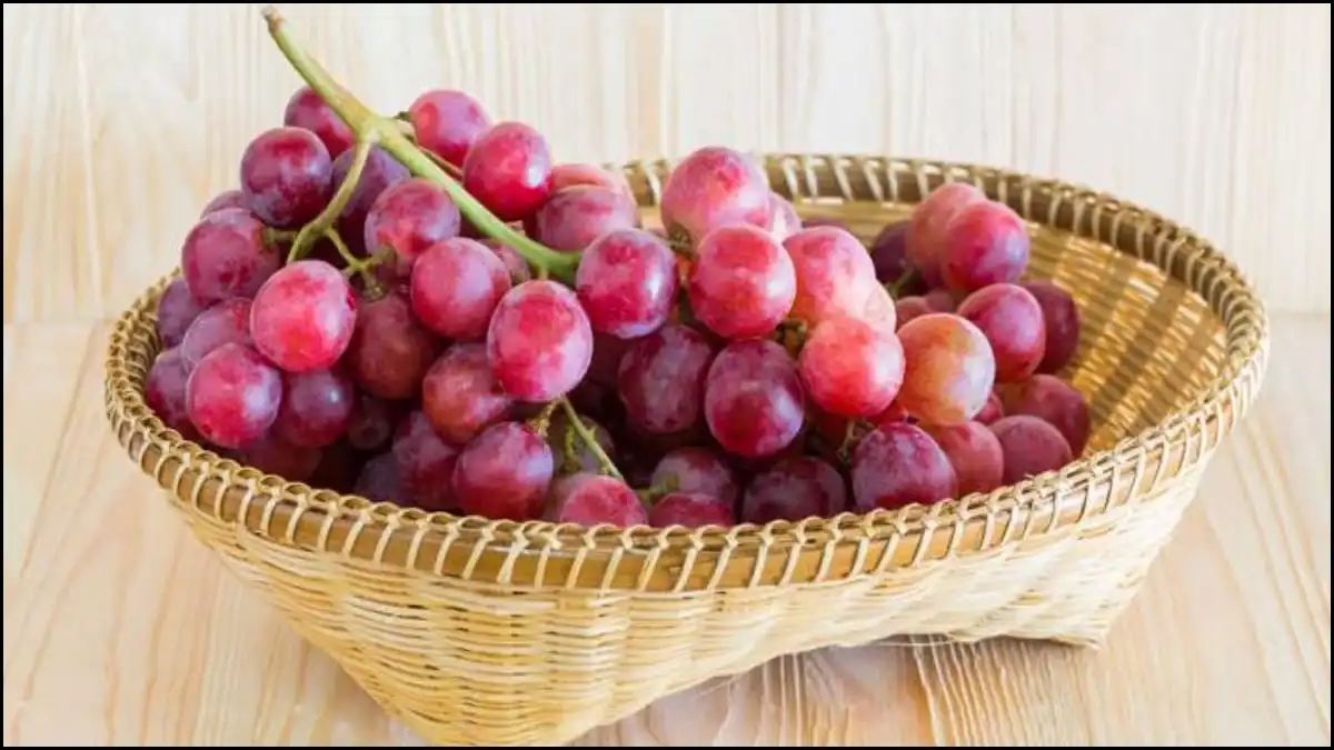 فوائد تناول العنب يوميًا للرجال والنساء ومنع الأمراض المزمنة والسمنة